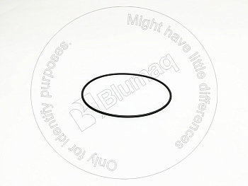 2H3929 BQ КОЛЬЦО КРУГЛОГО СЕЧЕНИЯ