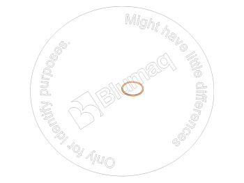 0975279 ST САЛЬНИК