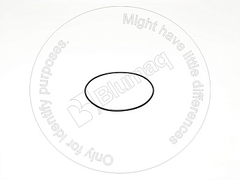 11S9095960 ST УПЛОТНИТЕЛЬНОЕ КОЛЬЦО