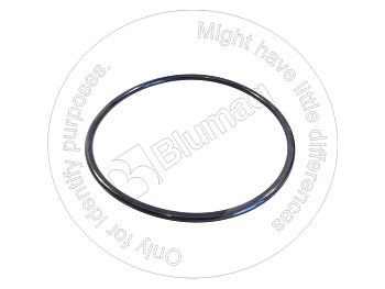 0952662 ST КОЛЬЦО КРУГЛОГО СЕЧЕНИЯ