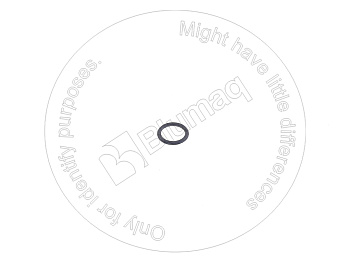 VOE976971 OR КОЛЬЦО КРУГЛОГО СЕЧЕНИЯ