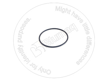 5H5672 ST КОЛЬЦО КРУГЛОГО СЕЧЕНИЯ