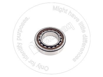 0600202211 OE BEARING