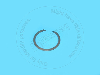 0L2351 OR КОЛЬЦО