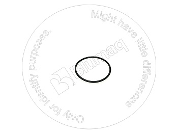 5353005 BQ УПЛОТНИТЕЛЬНОЕ КОЛЬЦО