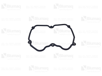 2429537 ST ПРОКЛАДКА