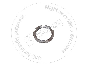 1550835 BQ ГАЙКА
