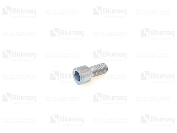 VOE60112988 BQ HEX. SOCKET SCREW