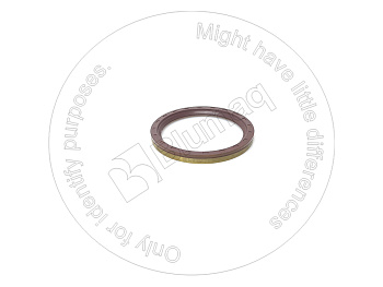 VOE1650290 ST САЛЬНИК