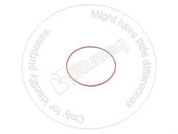 2305686 ST КОЛЬЦО КРУГЛОГО СЕЧЕНИЯ