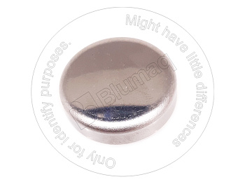 5049787 OE ЗАГЛУШКА