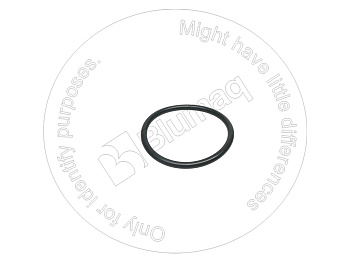 2H3933 ST КОЛЬЦО КРУГЛОГО СЕЧЕНИЯ