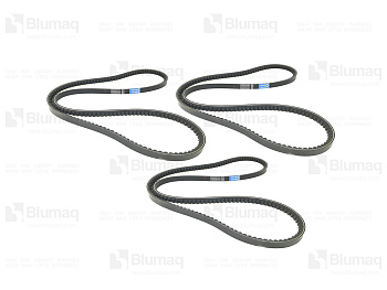 6N6651 BQ КОМПЛЕКТ РЕМНЕЙ (3)