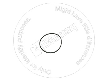 VOE420213 ST САЛЬНИК