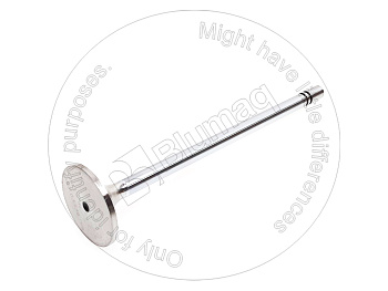 2243028 BQ КЛАПАН