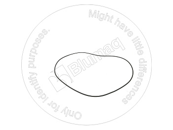 2310668 ST КОЛЬЦО КРУГЛОГО СЕЧЕНИЯ