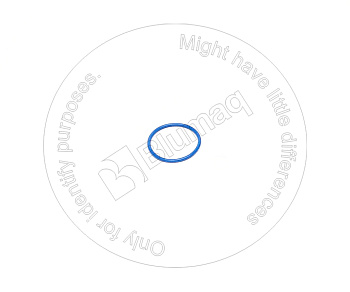 5344552 ST КОЛЬЦО КРУГЛОГО СЕЧЕНИЯ