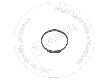 VOE13949928 OE ПРУЖИННОЕ КОЛЬЦО