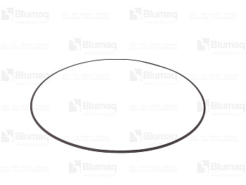 5613471661 OE RING