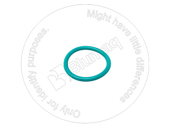 1698598 ST КОЛЬЦО КРУГЛОГО СЕЧЕНИЯ