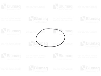 2310667 ST КОЛЬЦО КРУГЛОГО СЕЧЕНИЯ