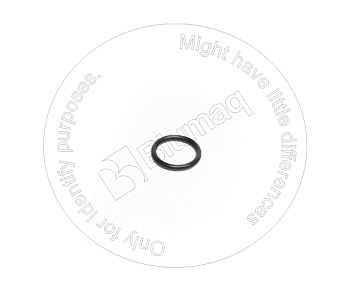 0951589 ST КОЛЬЦО КРУГЛОГО СЕЧЕНИЯ