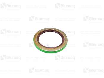 BQ10109209 OE САЛЬНИК