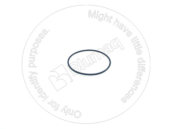 0700003098 ST КОЛЬЦО КРУГЛОГО СЕЧЕНИЯ