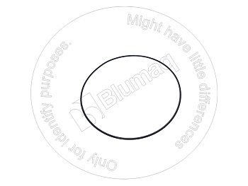 ZF0634303684 ST КОЛЬЦО КРУГЛОГО СЕЧЕНИЯ
