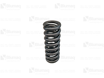 2487194 ST ПРУЖИНА