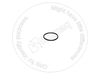 VOE20798076 ST КОЛЬЦО КРУГЛОГО СЕЧЕНИЯ