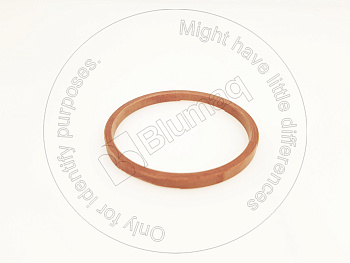 6I6787 ST САЛЬНИК