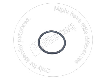 0951539 ST КОЛЬЦО КРУГЛОГО СЕЧЕНИЯ