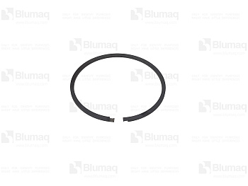 1T1231 ST СЕГМЕНТ