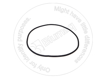 4P5524 ST КОЛЬЦО КРУГЛОГО СЕЧЕНИЯ
