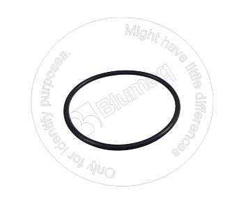 6731715550 OR САЛЬНИК
