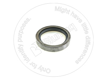 2H3919 ST САЛЬНИК