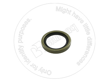 2H1746 ST САЛЬНИК