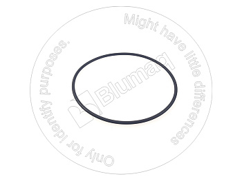 0869206 ST КОЛЬЦО КРУГЛОГО СЕЧЕНИЯ