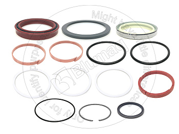 4307589 BQ SEAL KIT