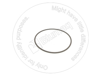 4237253 ST SEAL-RECTA