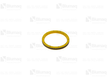 7K9208 ST САЛЬНИК