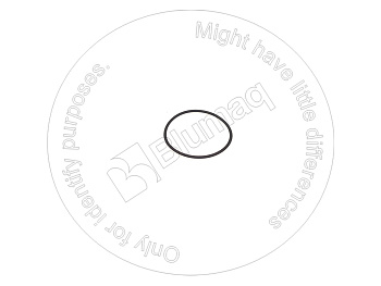 VOE20459005 ST КОЛЬЦО КРУГЛОГО СЕЧЕНИЯ