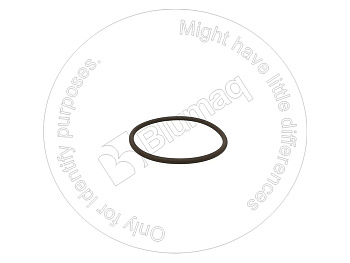 5P5601 ST КОЛЬЦО КРУГЛОГО СЕЧЕНИЯ