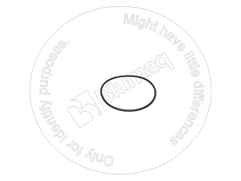 VOE925094 ST КОЛЬЦО КРУГЛОГО СЕЧЕНИЯ