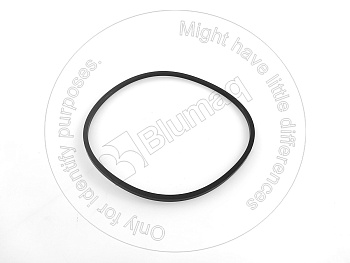 4173311430 OE RING