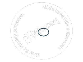 VOE983519 ST КОЛЬЦО КРУГЛОГО СЕЧЕНИЯ