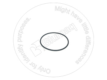 7R1866 BQ КОЛЬЦО КРУГЛОГО СЕЧЕНИЯ