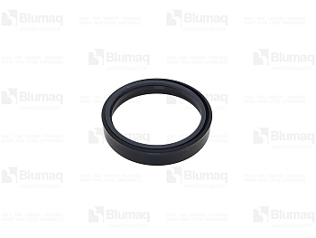 7P7333 OR САЛЬНИК