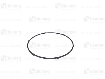 4879975 OR WASHER THR